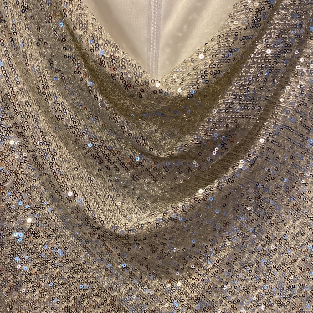 COPY - Alex Evenings 2 X sparkly top. Has lining. Beautiful cowl like neck - Picture 3 of 6